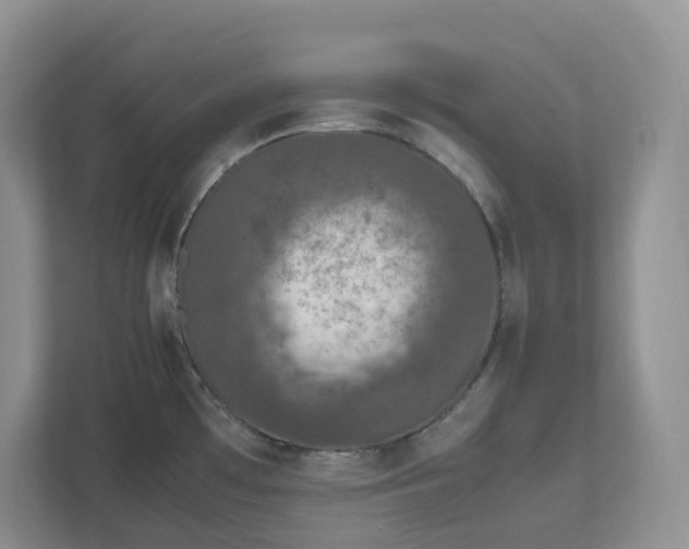 X0000111531481200907211234