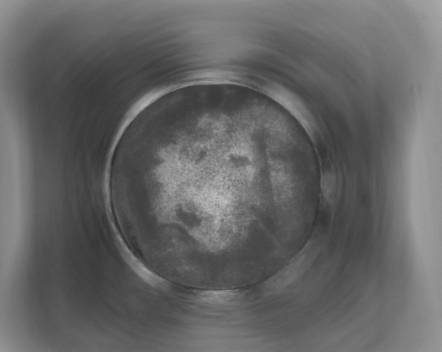 X0000111531482200907211234