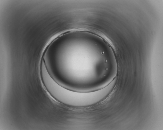 X0000111531485200907211234