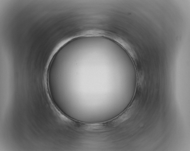 X0000111531486200907211234