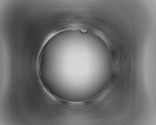 X0000111531487200907211234