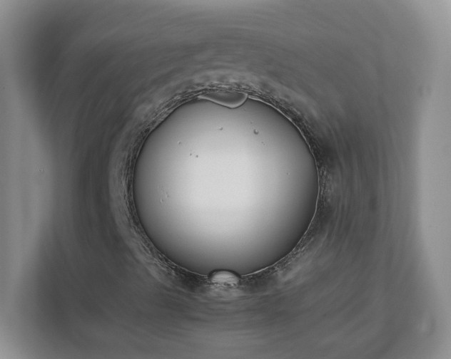 X0000111531489200907211233