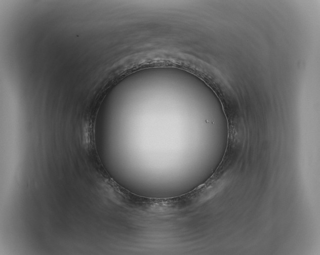 X0000111531490200907211233