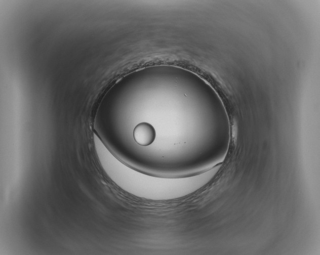 X0000111531492200907211233