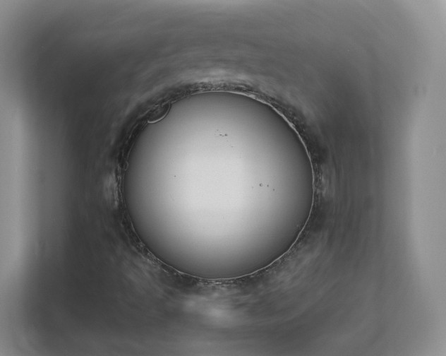 X0000111531493200907211233