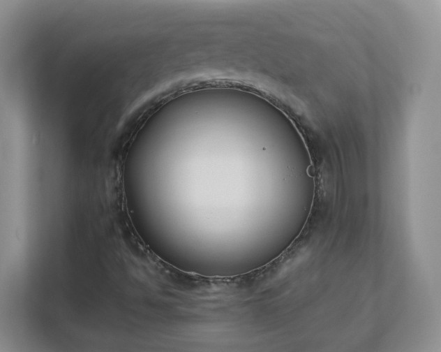 X0000111531494200907211233