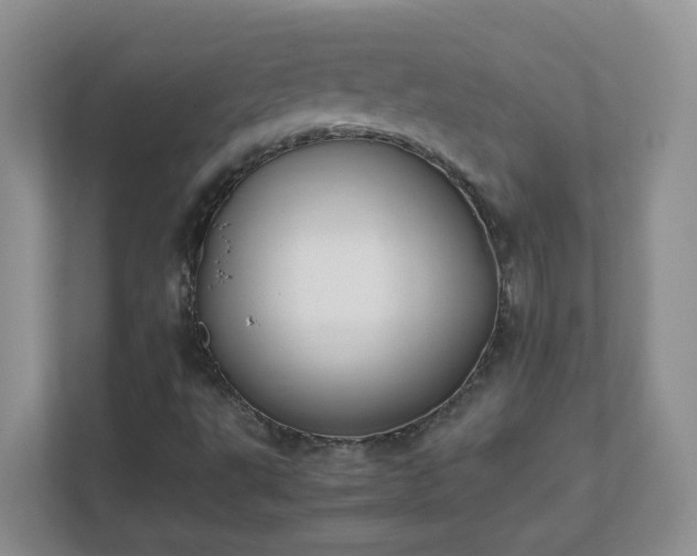 X0000111531495200907211233