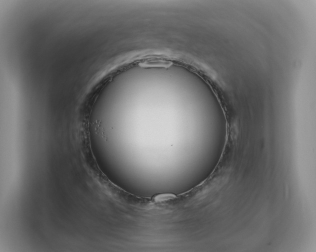 X0000111531496200907211233