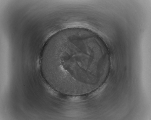 X0000111531497200907211233