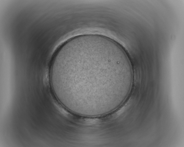 X0000111531498200907211233