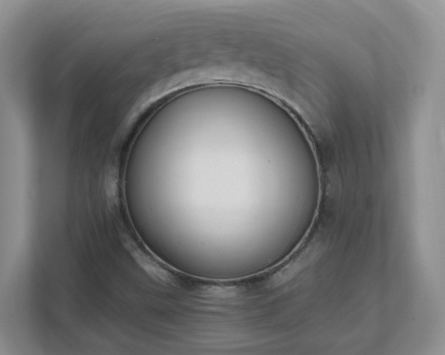 X0000111531499200907211234