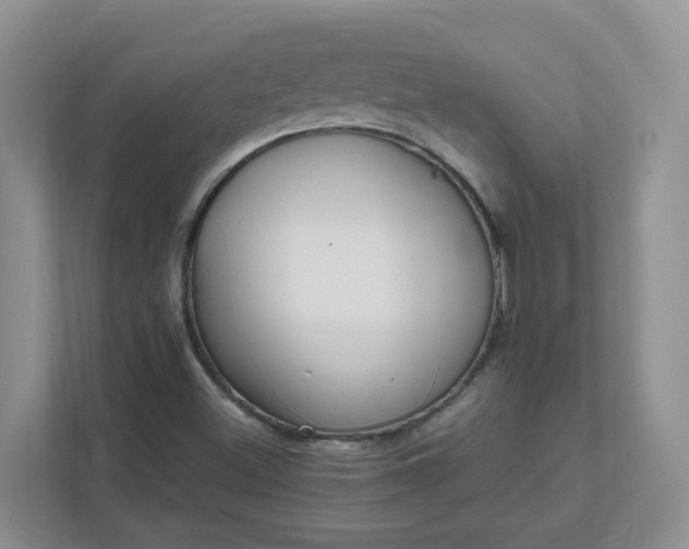 X0000111531500200907211234