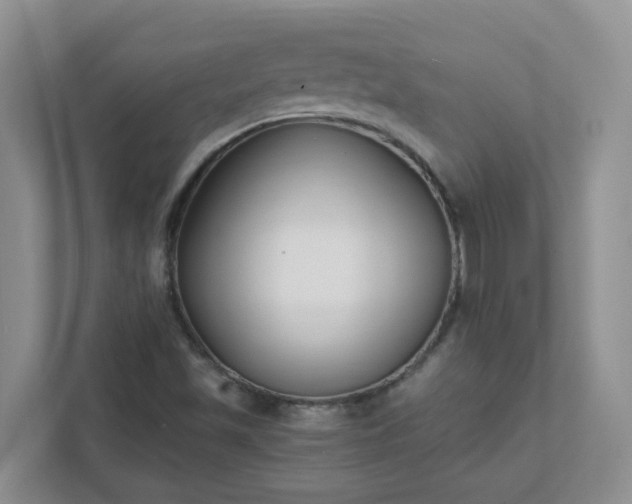 X0000111531501200907211234