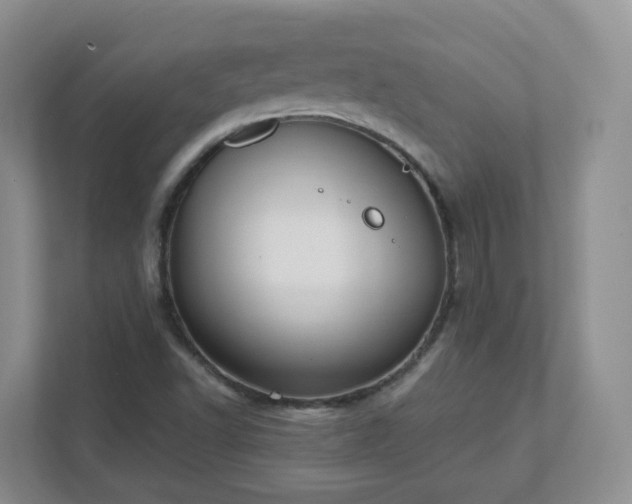 X0000111531502200907211234