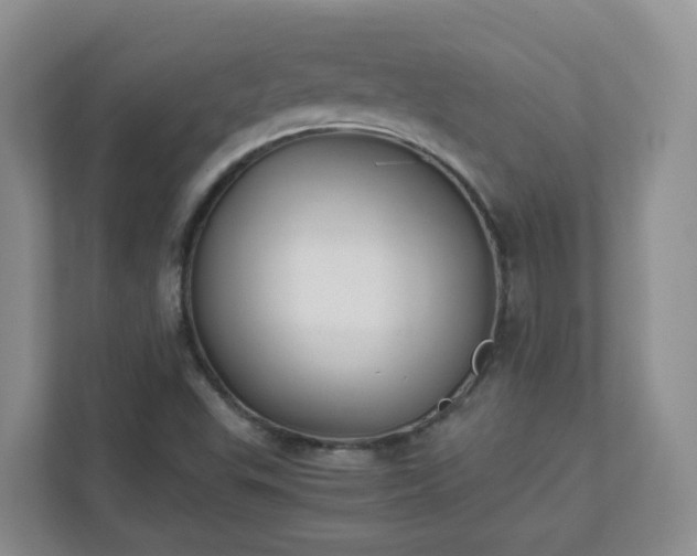 X0000111531503200907211234