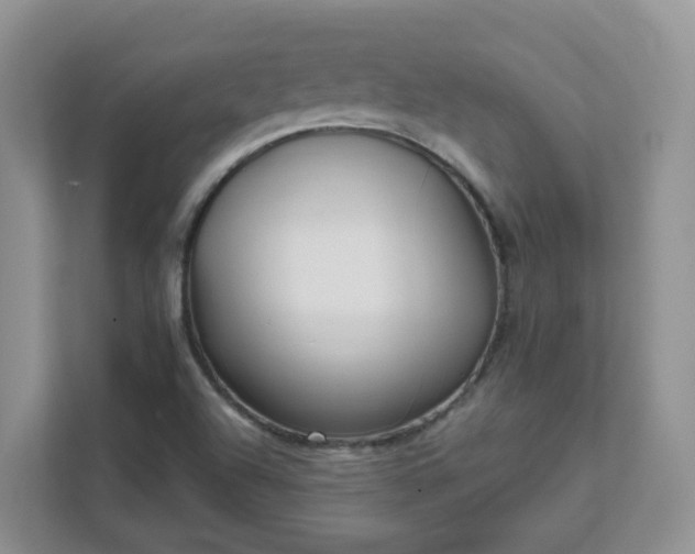 X0000111531504200907211234