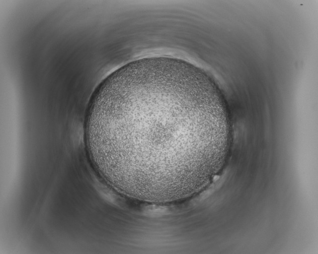 X0000111531505200907211234