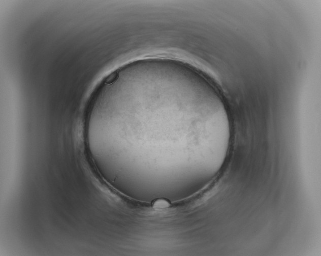 X0000111531506200907211234