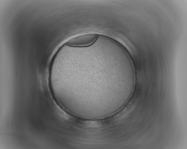 X0000111531508200907211234