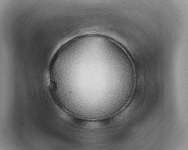 X0000111531509200907211234