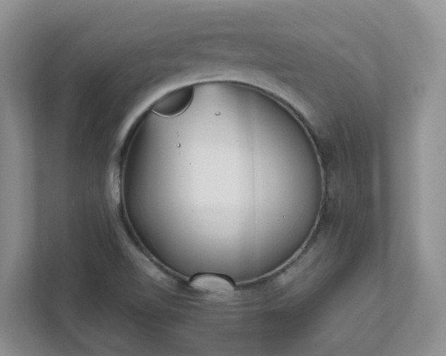 X0000111531510200907211234