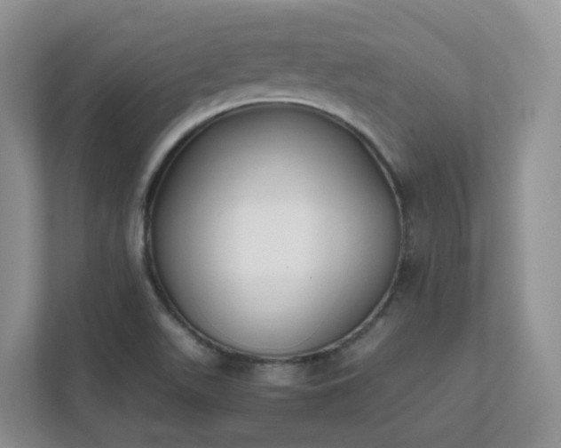 X0000111531511200907211234