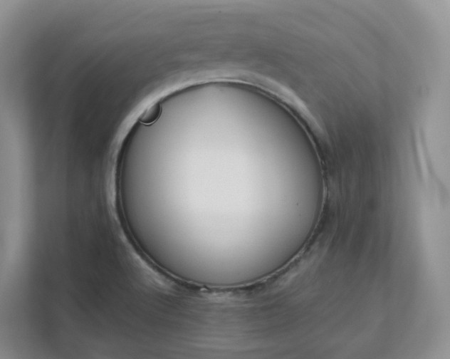 X0000111531512200907211234