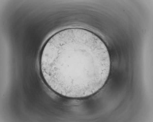 X0000111531514200907211234