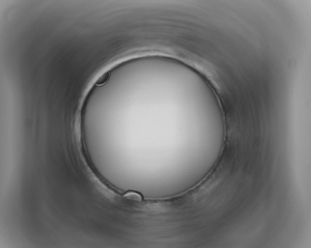 X0000111531516200907211234