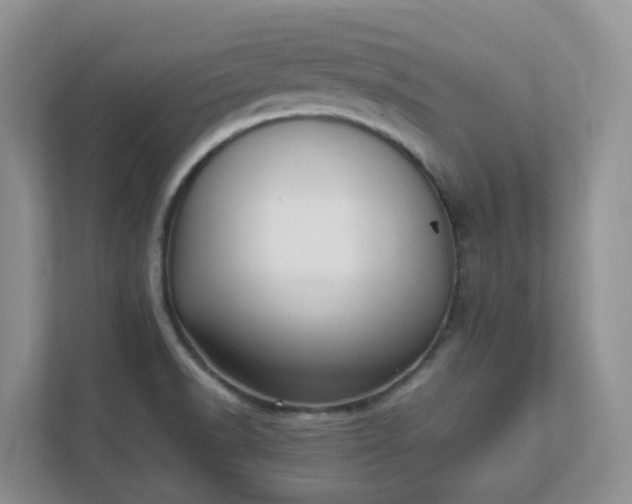 X0000111531518200907211234