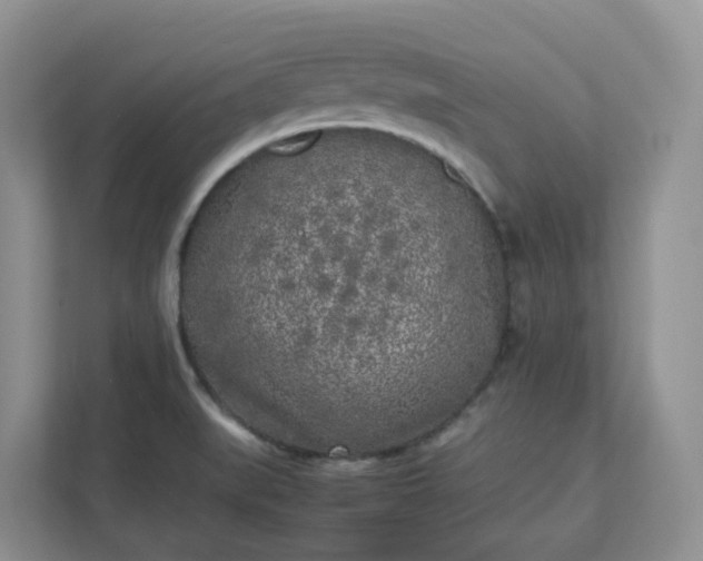 X0000111531519200907211234