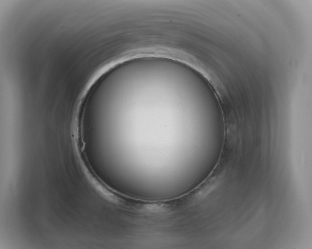 X0000111531523200907211234