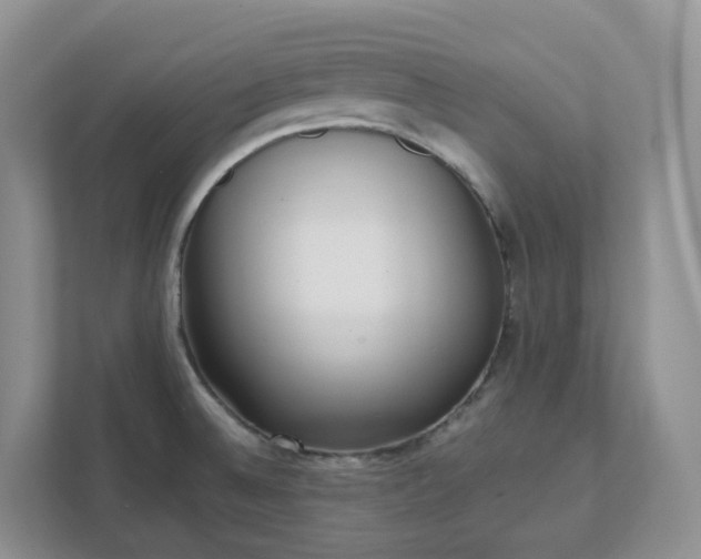 X0000111531524200907211234