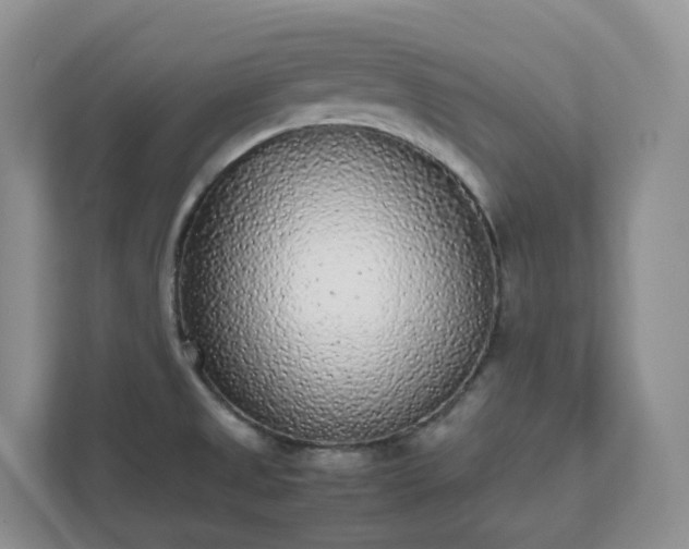 X0000111531525200907211234