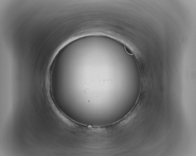 X0000111531526200907211234