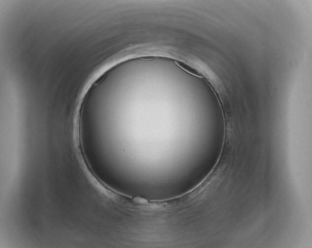 X0000111531528200907211234