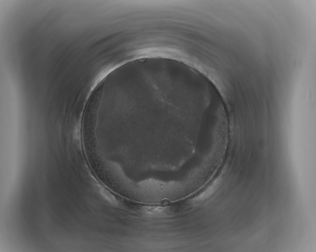 X0000111531529200907211234