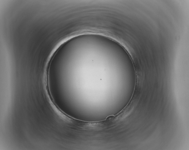 X0000111531531200907211234