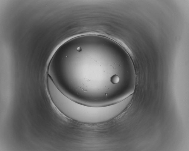 X0000111531532200907211234