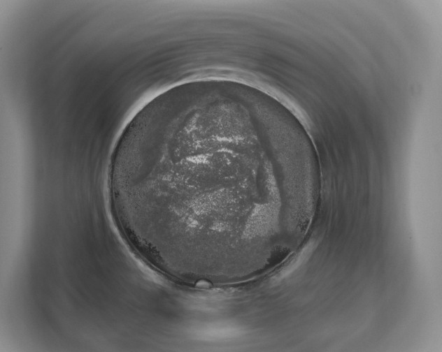 X0000111531533200907211234