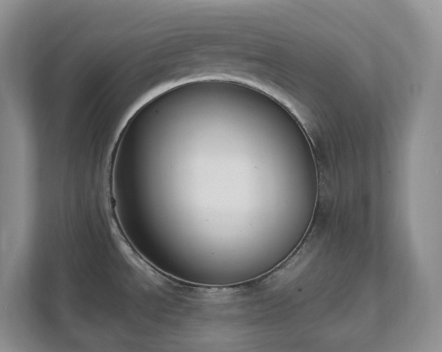 X0000111531534200907211234