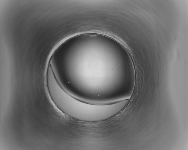 X0000111531536200907211234