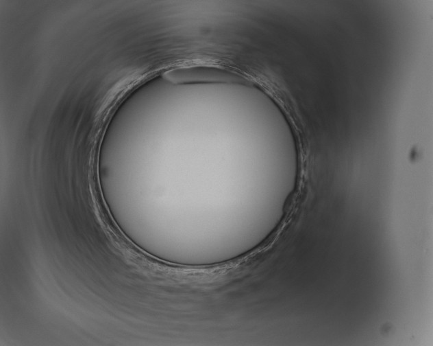 X0000111530001200907281413