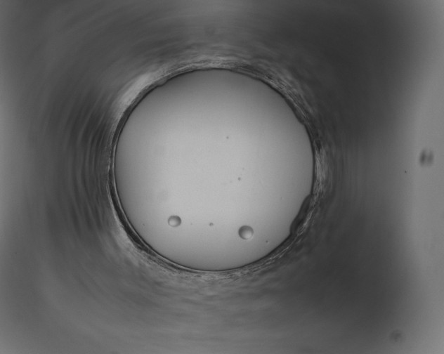 X0000111530003200907281413