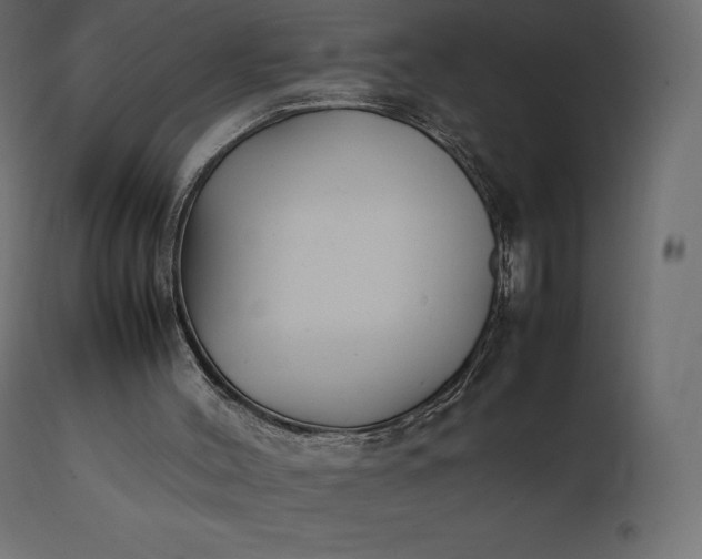 X0000111530004200907281413