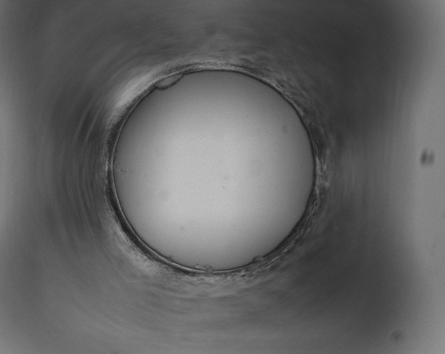 X0000111530005200907281413