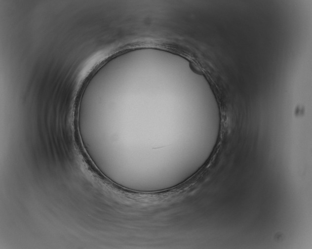 X0000111530006200907281413