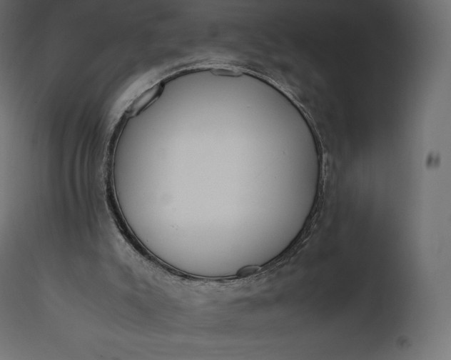 X0000111530007200907281413