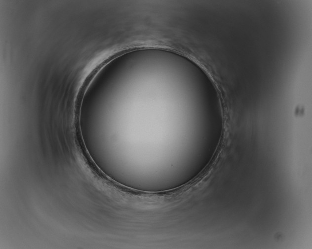 X0000111530008200907281413