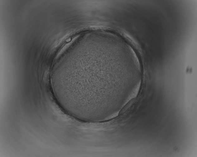 X0000111530009200907281413